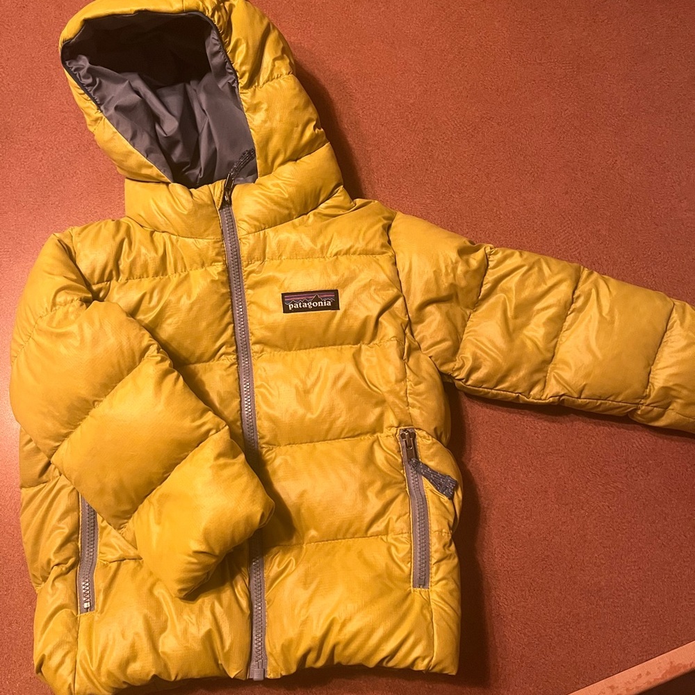 2T hi loft down sweater hoodie Patagonia